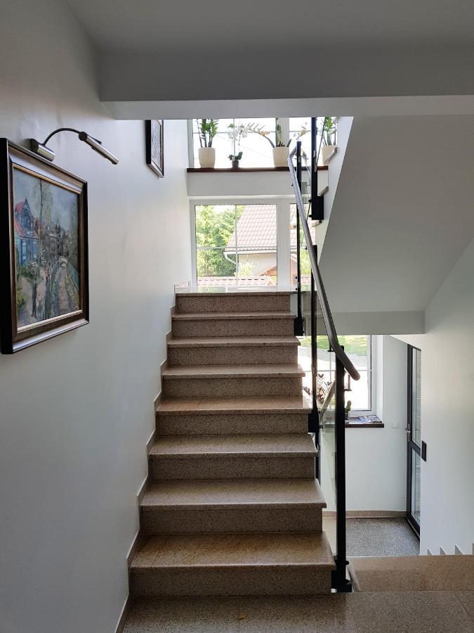 Pod Modrzewiami Appartement Krynica Zdroj Buitenkant foto