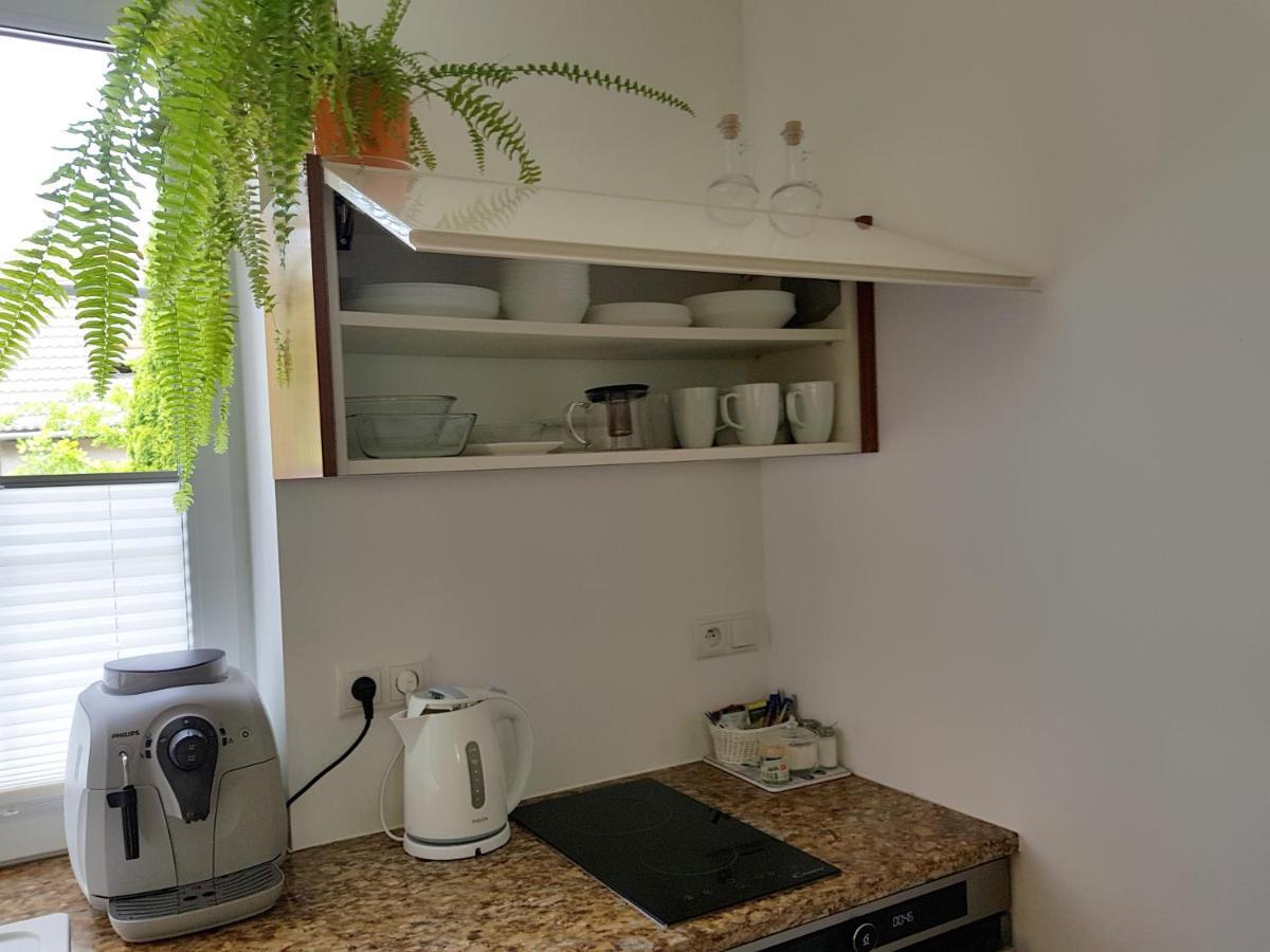 Pod Modrzewiami Appartement Krynica Zdroj Buitenkant foto
