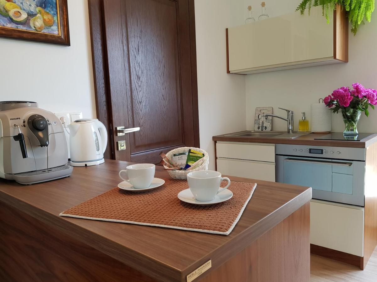 Pod Modrzewiami Appartement Krynica Zdroj Buitenkant foto